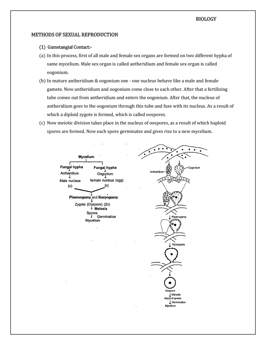 Kingdom Fungi - Page 6