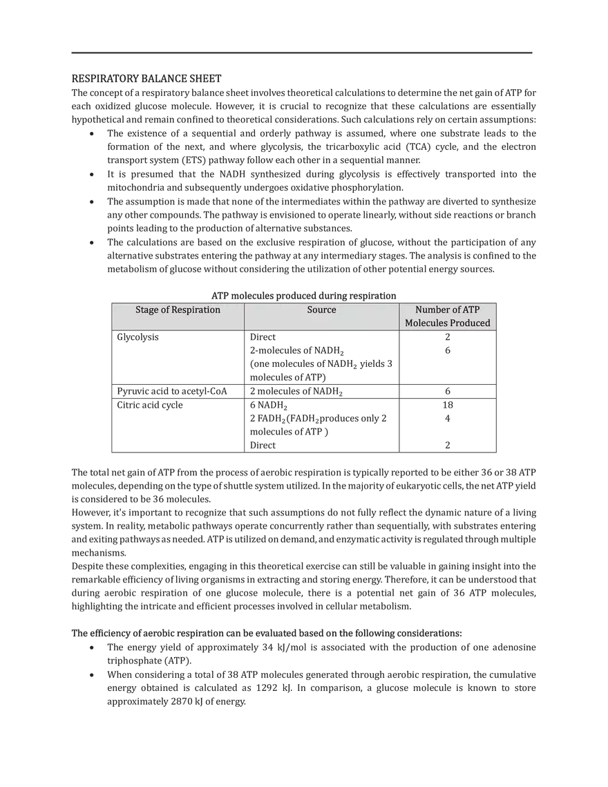 Respiratory Balance Sheet - Page 1