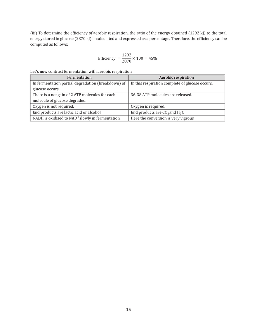 Respiratory Balance Sheet - Page 2