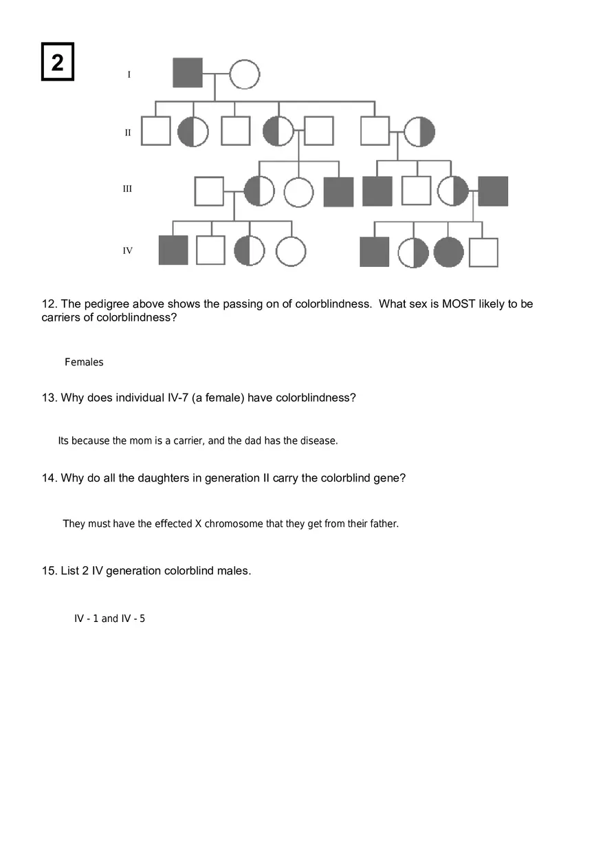 Pedigree Practice - Page 2