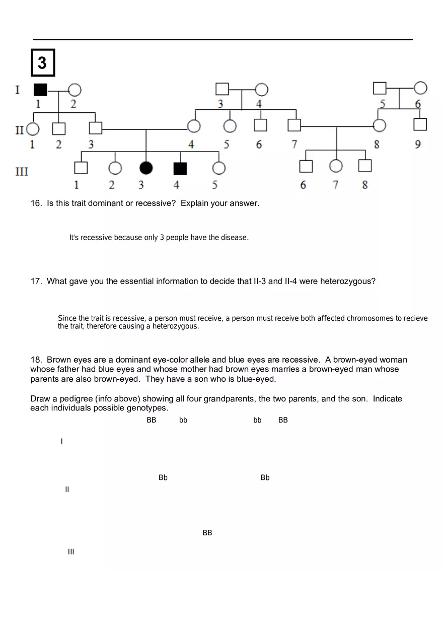 Pedigree Practice - Page 3