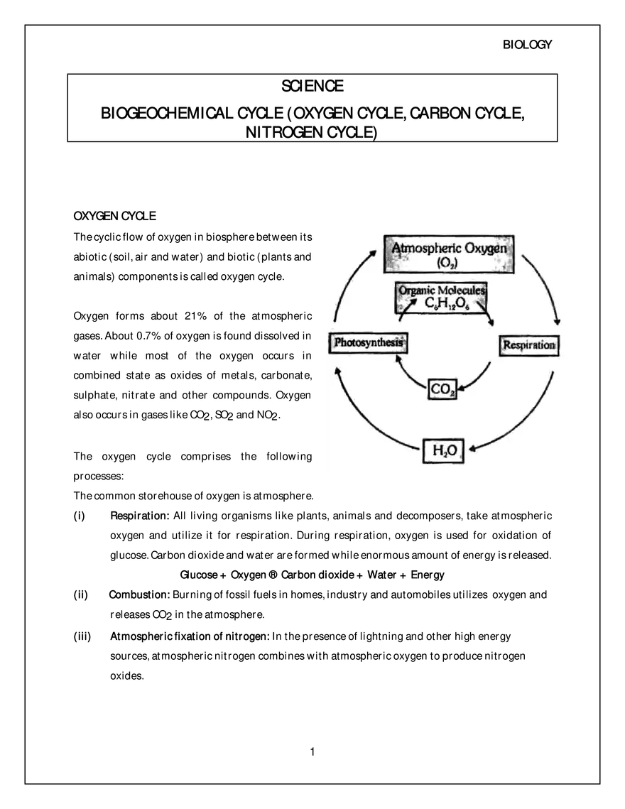Biogeochemical Cycle (Oxygen Cycle, Carbon Cycle,Nitrogen Cycle) - Page 1