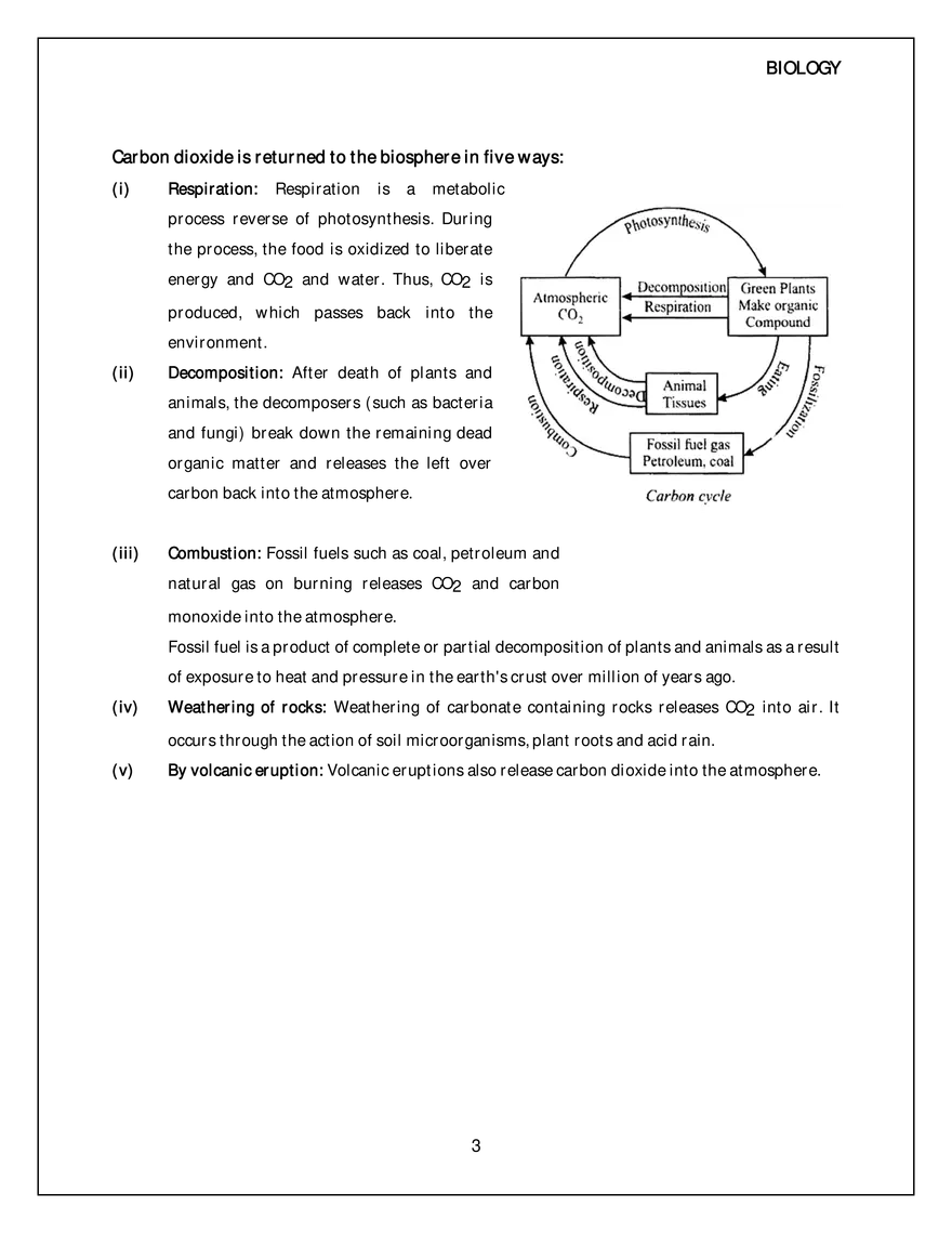 Biogeochemical Cycle (Oxygen Cycle, Carbon Cycle,Nitrogen Cycle) - Page 3