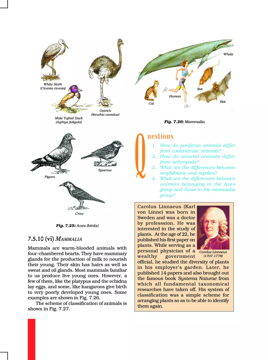 Chapter 7 Diversity in Living Organisms - Page 7