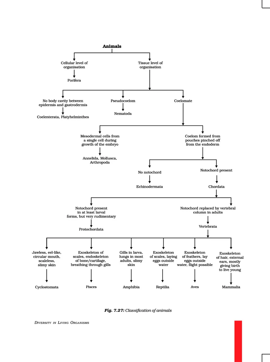 Chapter 7 Diversity in Living Organisms - Page 8