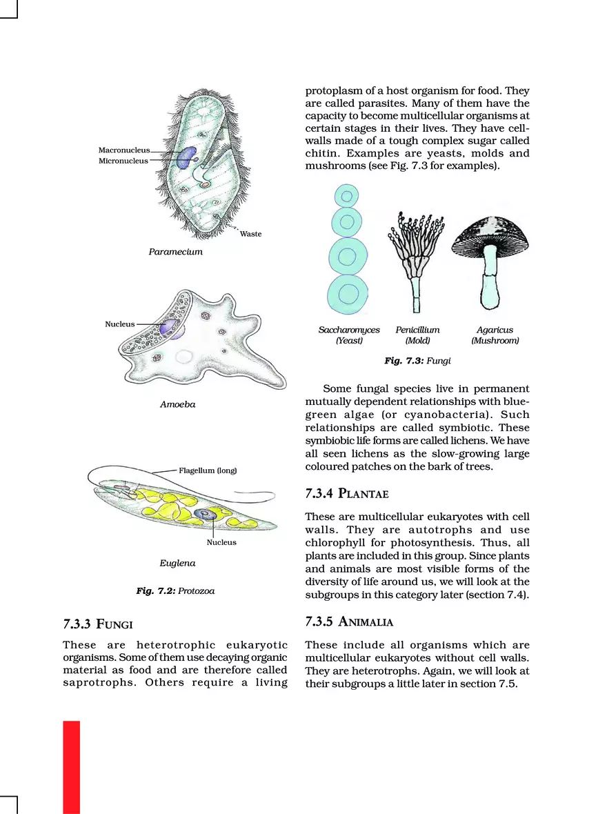 Chapter 7 Diversity in Living Organisms - Page 13