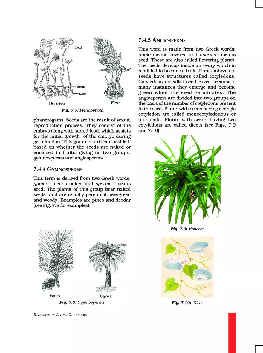 Chapter 7 Diversity in Living Organisms - Page 16