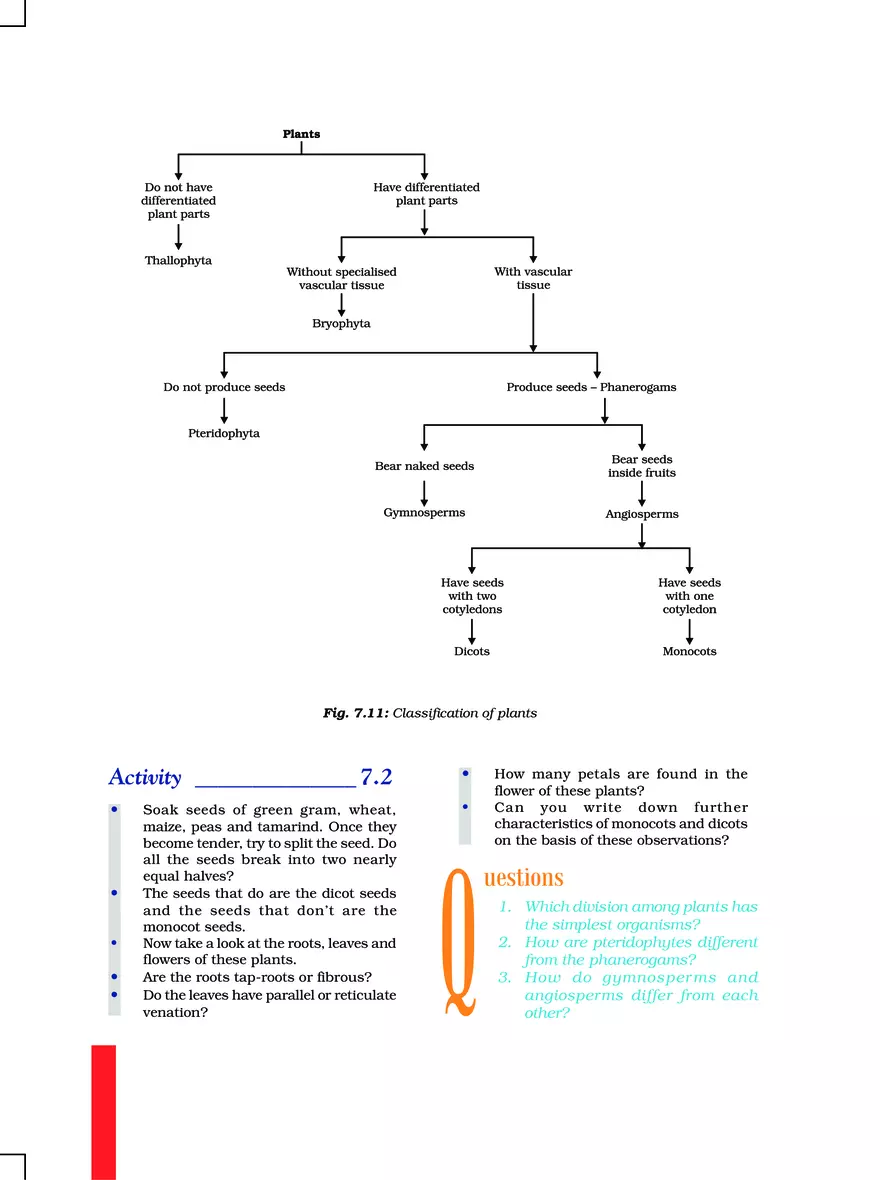 Chapter 7 Diversity in Living Organisms - Page 17