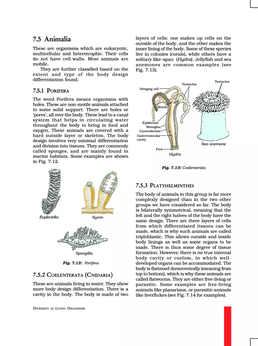 Chapter 7 Diversity in Living Organisms - Page 18