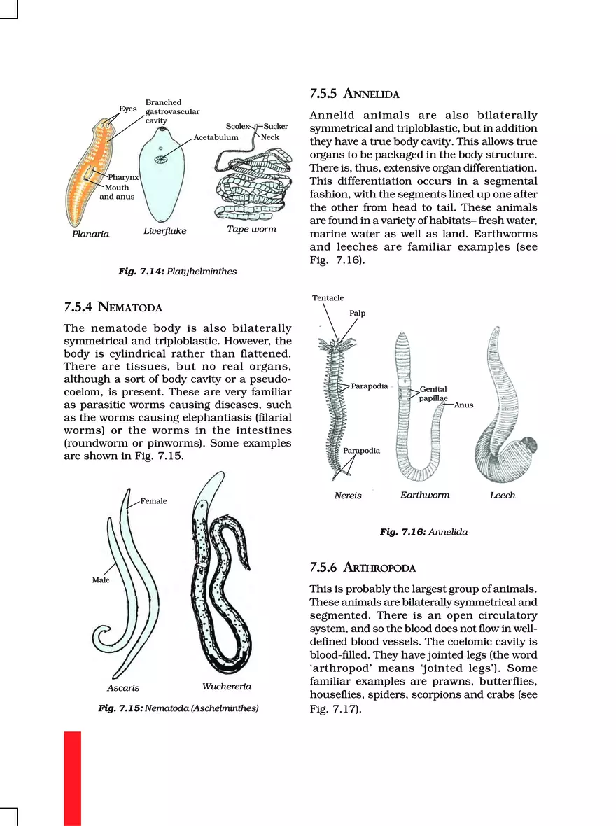 Chapter 7 Diversity in Living Organisms - Page 3