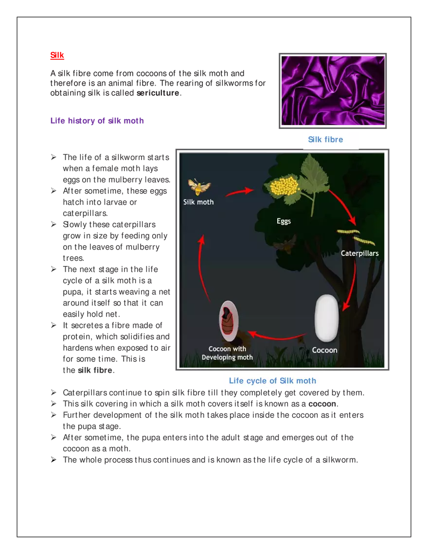 Life History of Silk Moth - Page 1