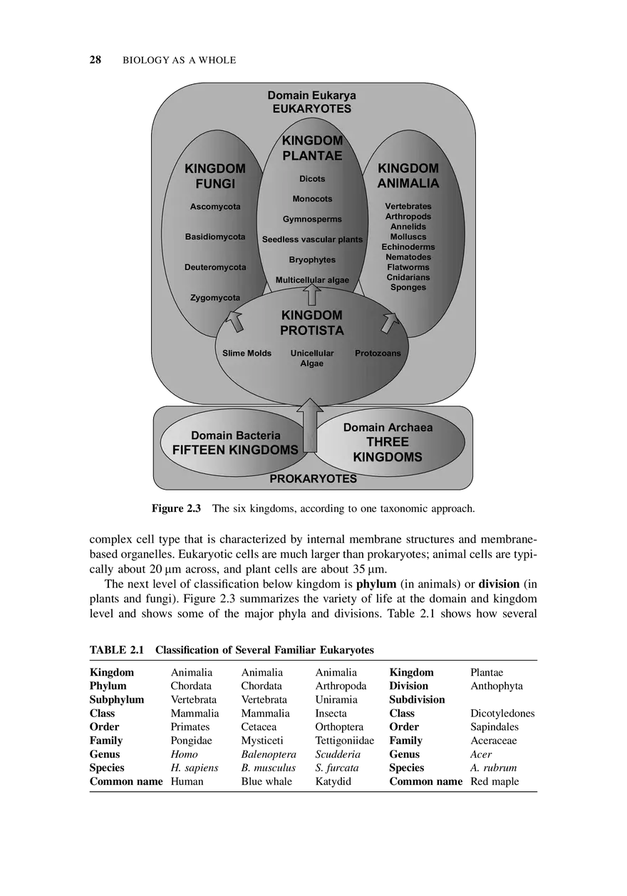 Biology as a Whole - Page 5