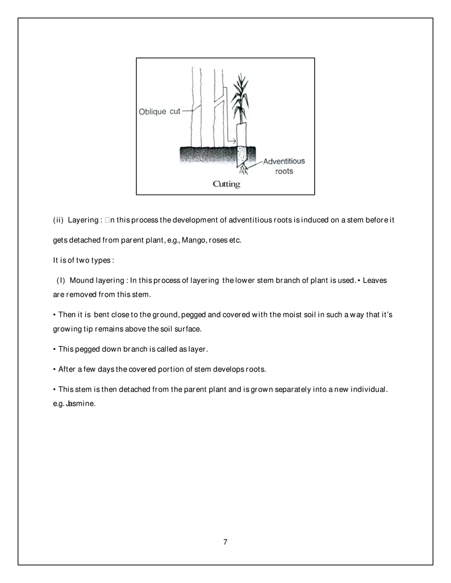 Asexual Reproduction - Page 7