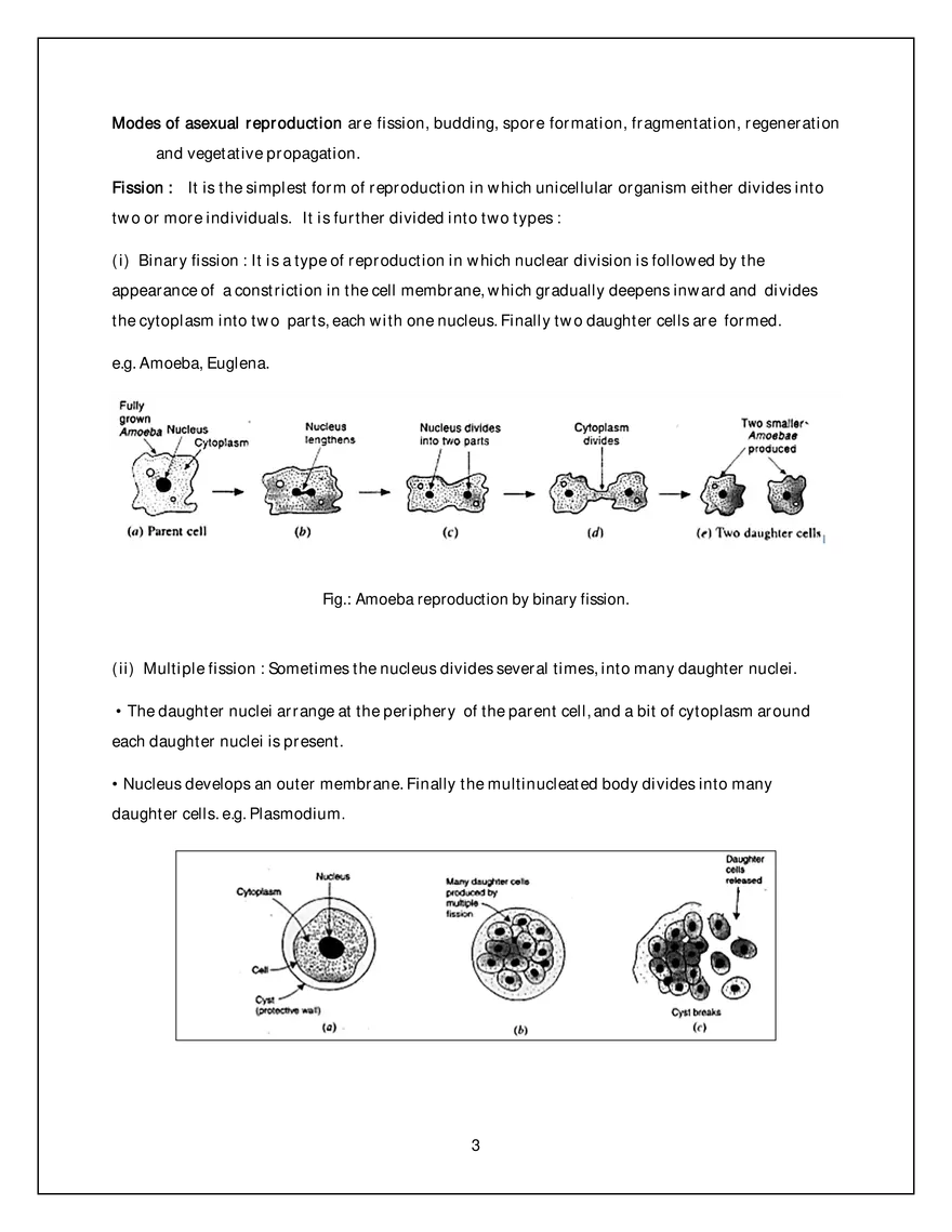 Asexual Reproduction - Page 3