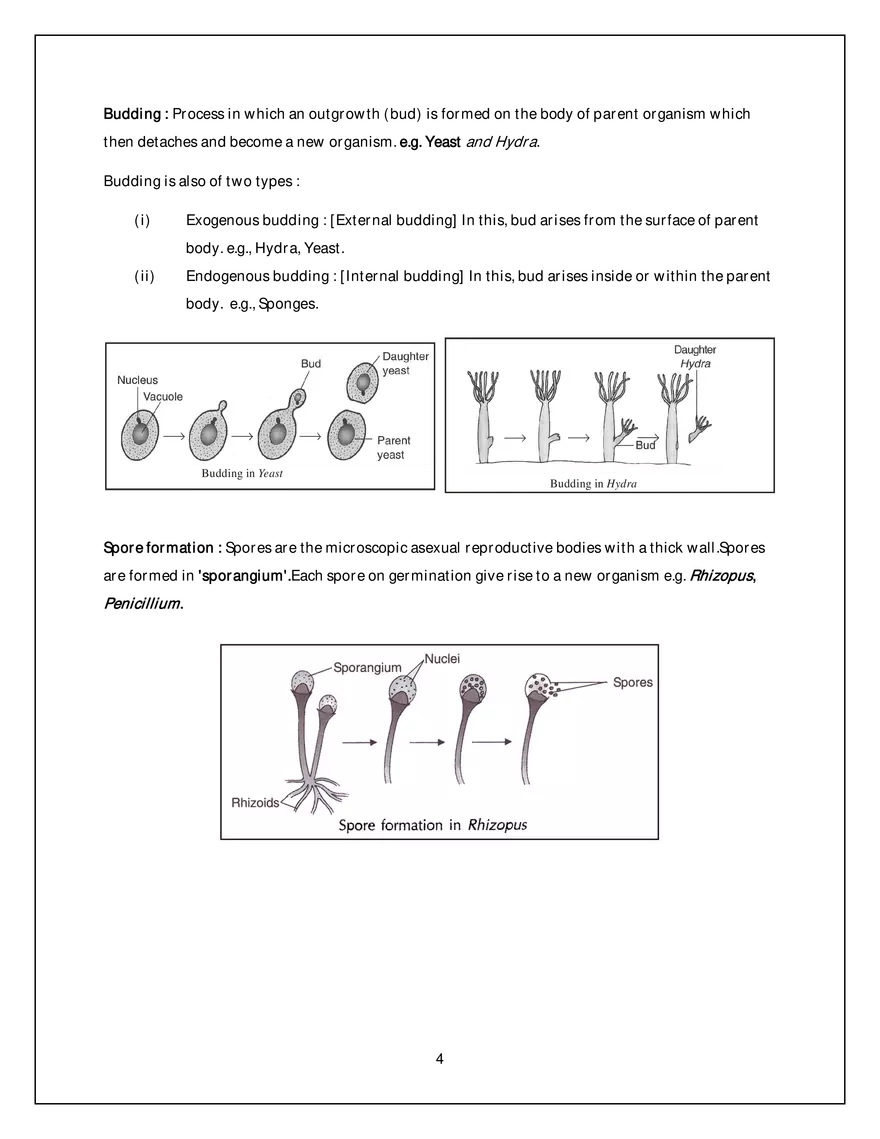 Asexual Reproduction - Page 4