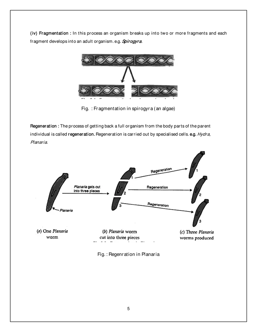 Asexual Reproduction - Page 5