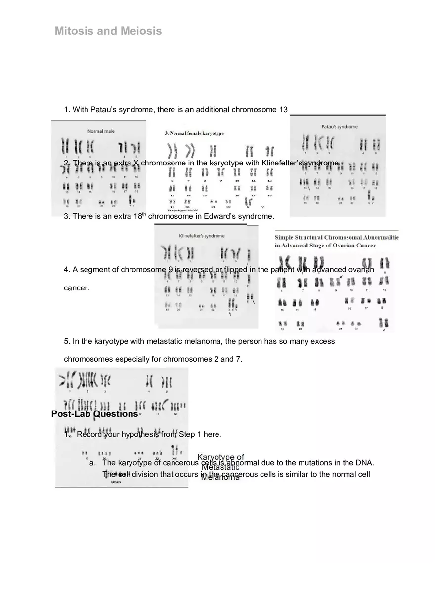 Mitosis and Meiosis Lab - Page 9