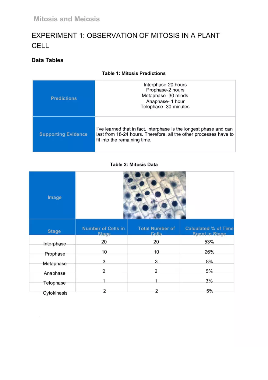 Mitosis and Meiosis Lab - Page 12
