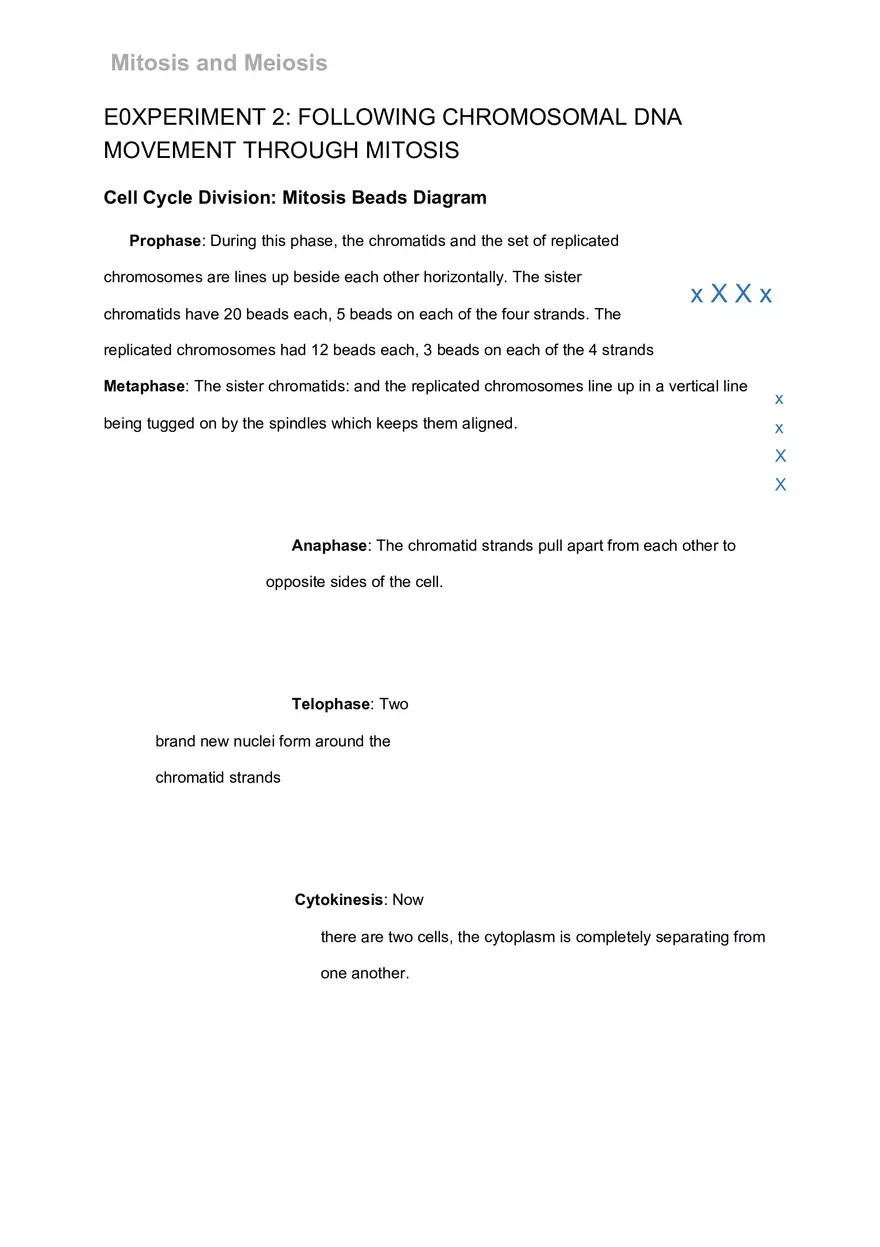Mitosis and Meiosis Lab - Page 16