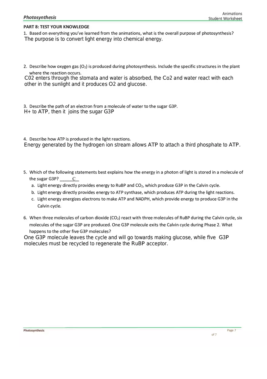 Photosynthesis Answer Key - Page 7