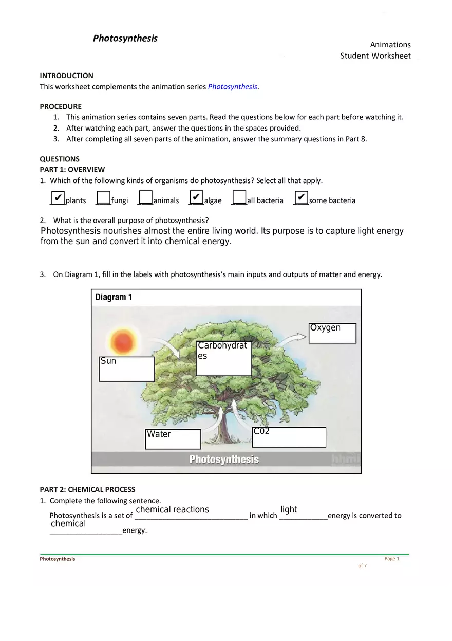 Photosynthesis Answer Key - Page 1