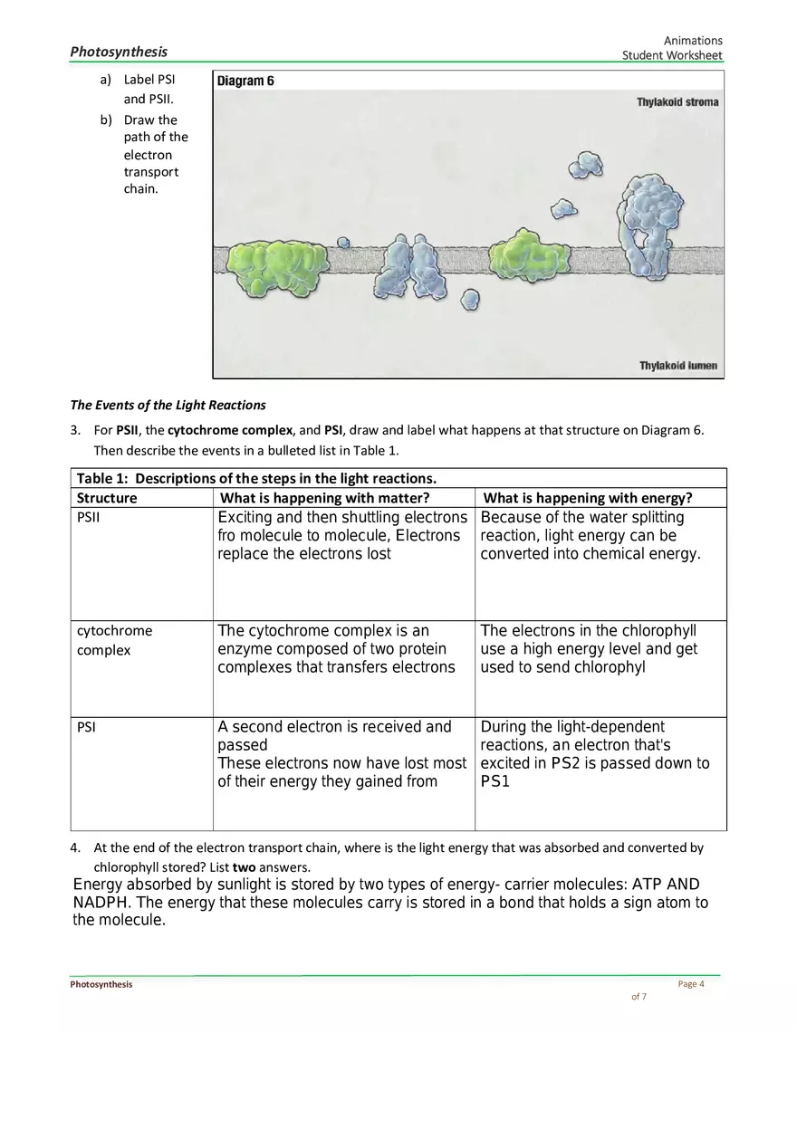 Photosynthesis Answer Key - Page 4