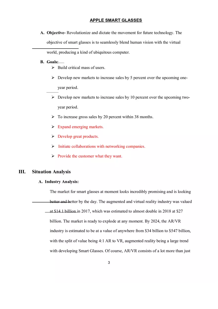 Marketing Plan Assignment - Page 13