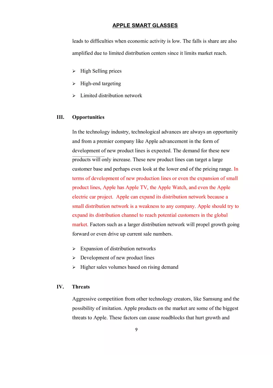 Marketing Plan Assignment - Page 19