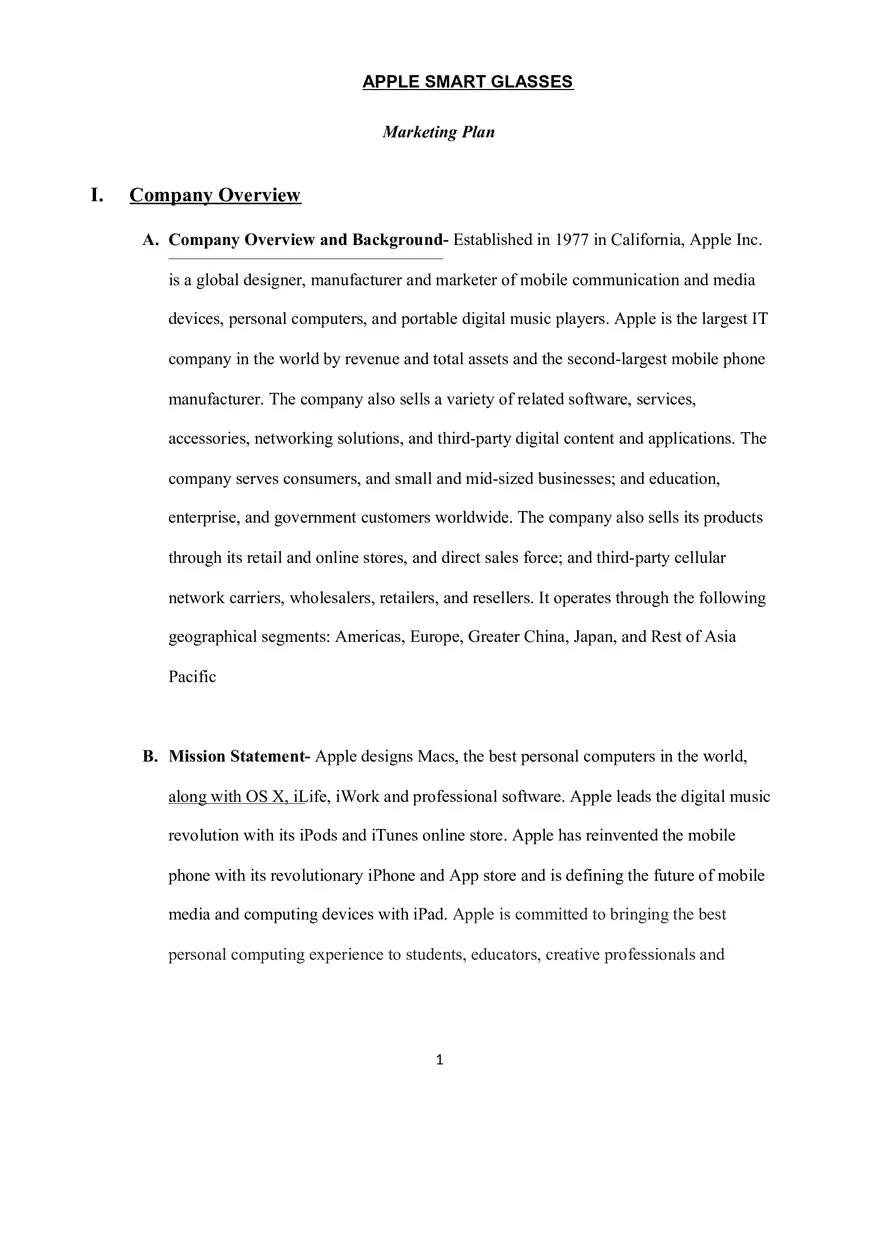 Marketing Plan Assignment - Page 1