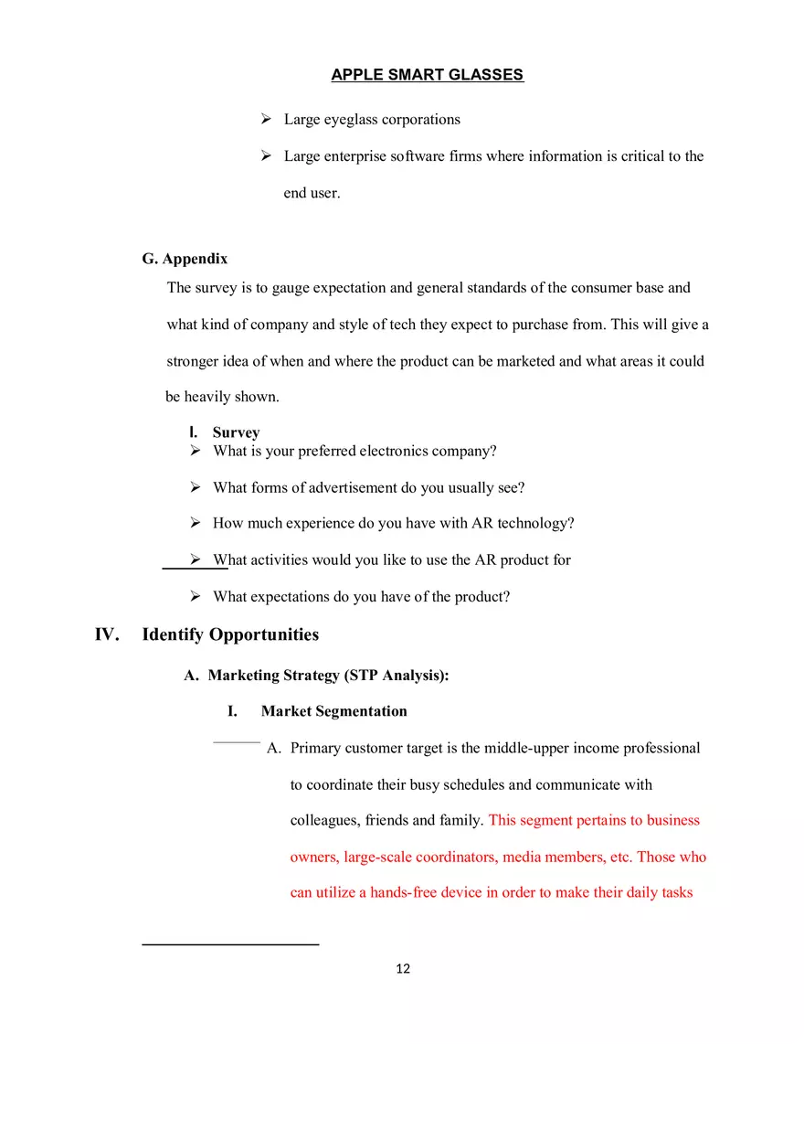 Marketing Plan Assignment - Page 4