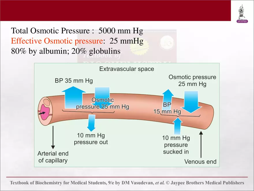 Chapter 25: Water and Electrolyte Balance - Page 7