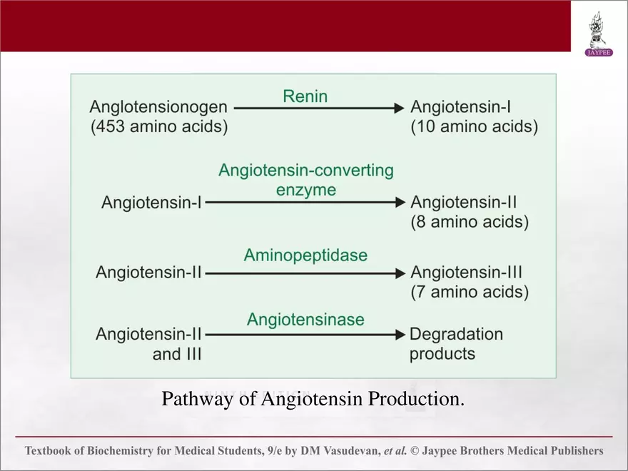 Chapter 25: Water and Electrolyte Balance - Page 16