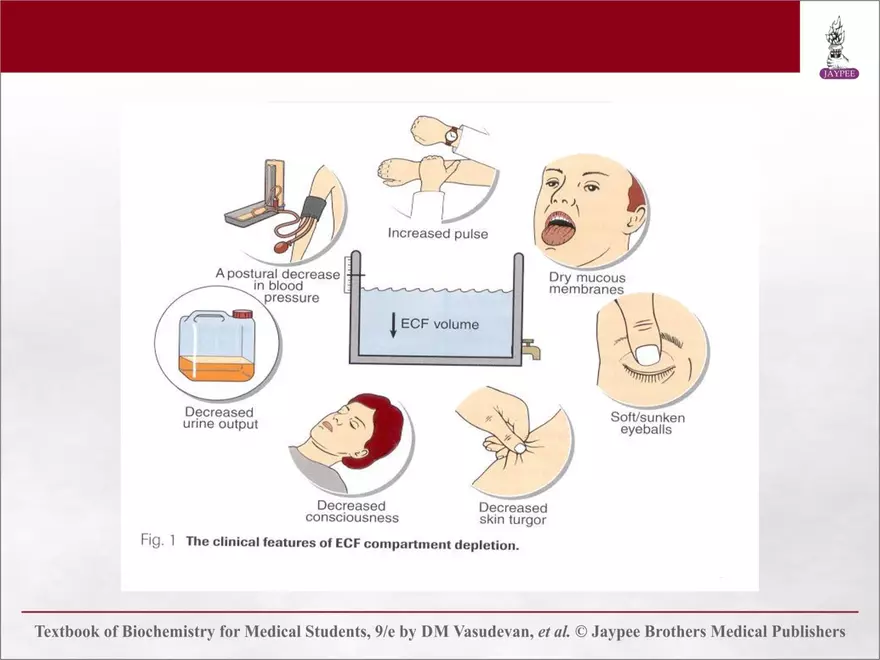 Chapter 25: Water and Electrolyte Balance - Page 30