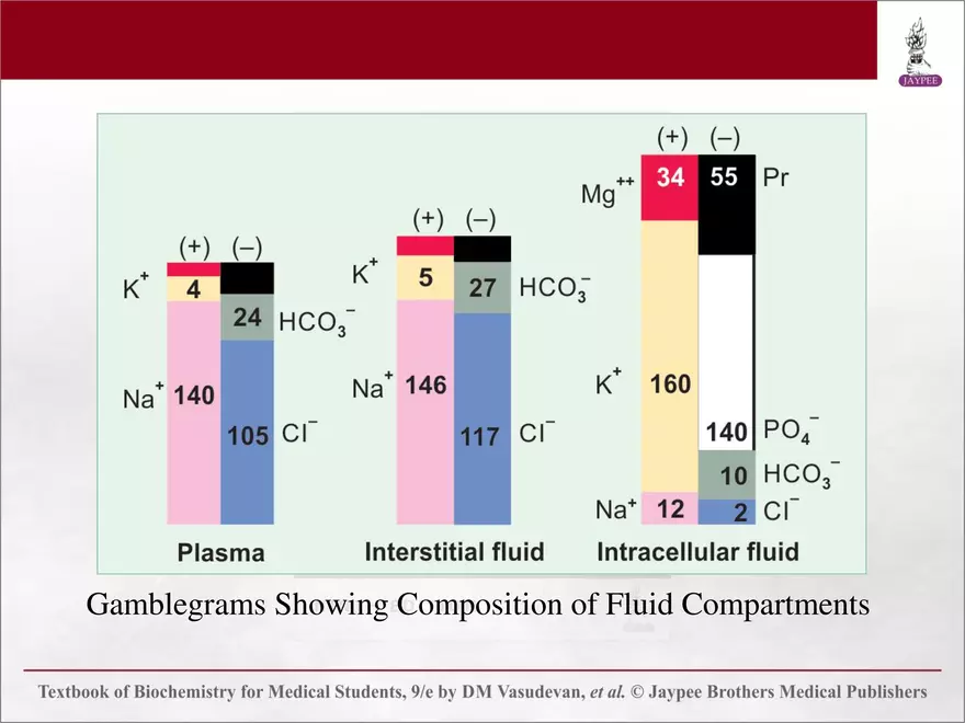 Chapter 25: Water and Electrolyte Balance - Page 46