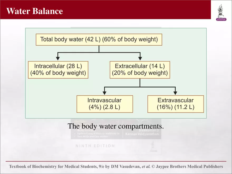Chapter 25: Water and Electrolyte Balance - Page 2