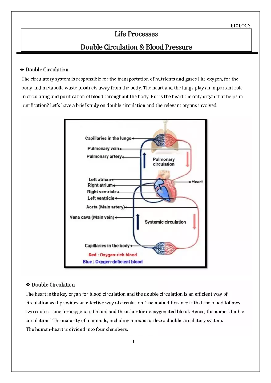 Double Circulation & Blood Pressure - Page 1