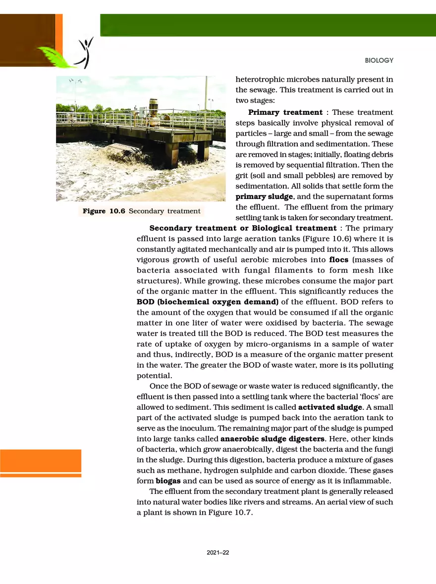 Chapter 10 Microbes in Human Welfare - Page 8