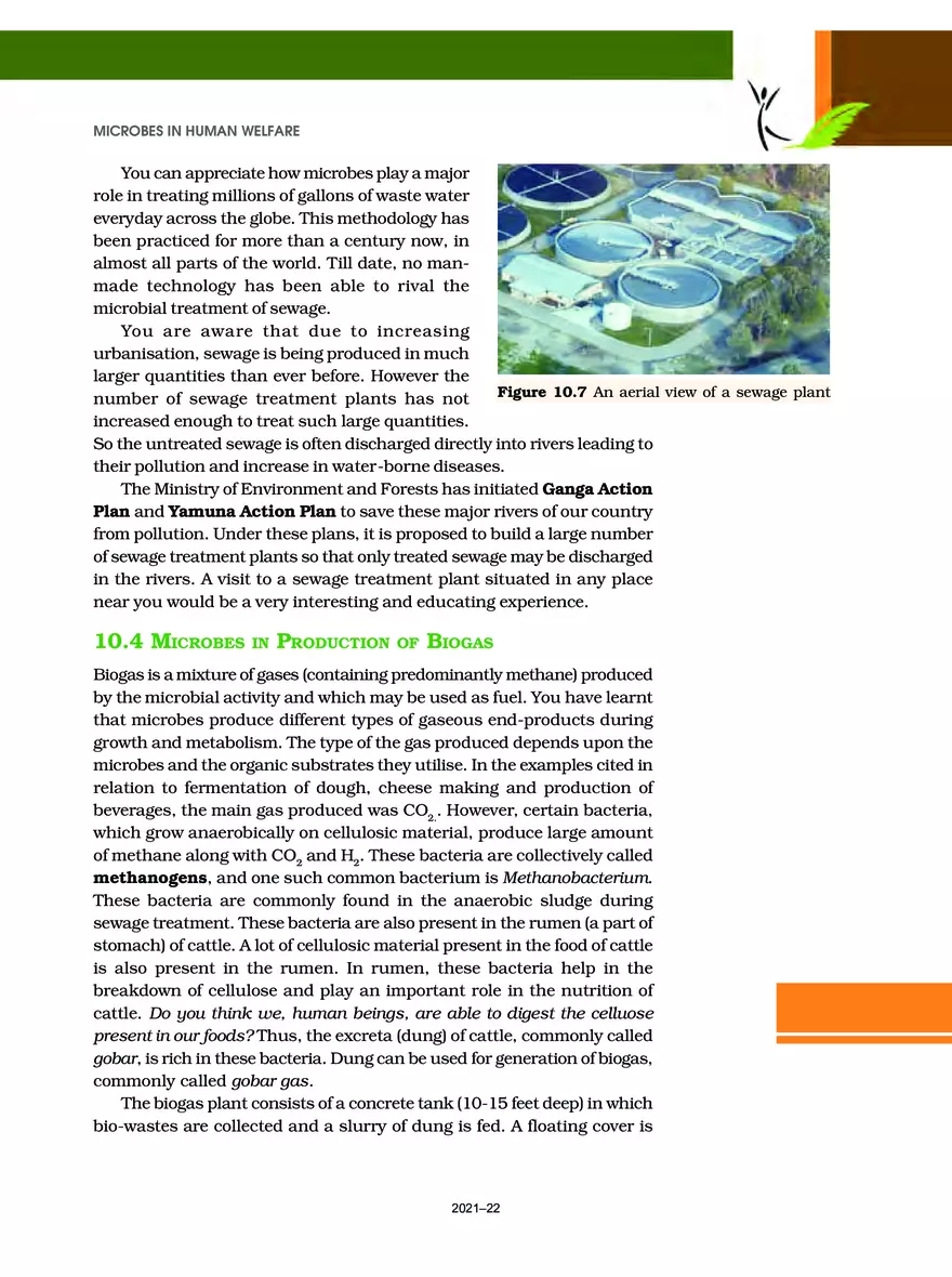 Chapter 10 Microbes in Human Welfare - Page 9