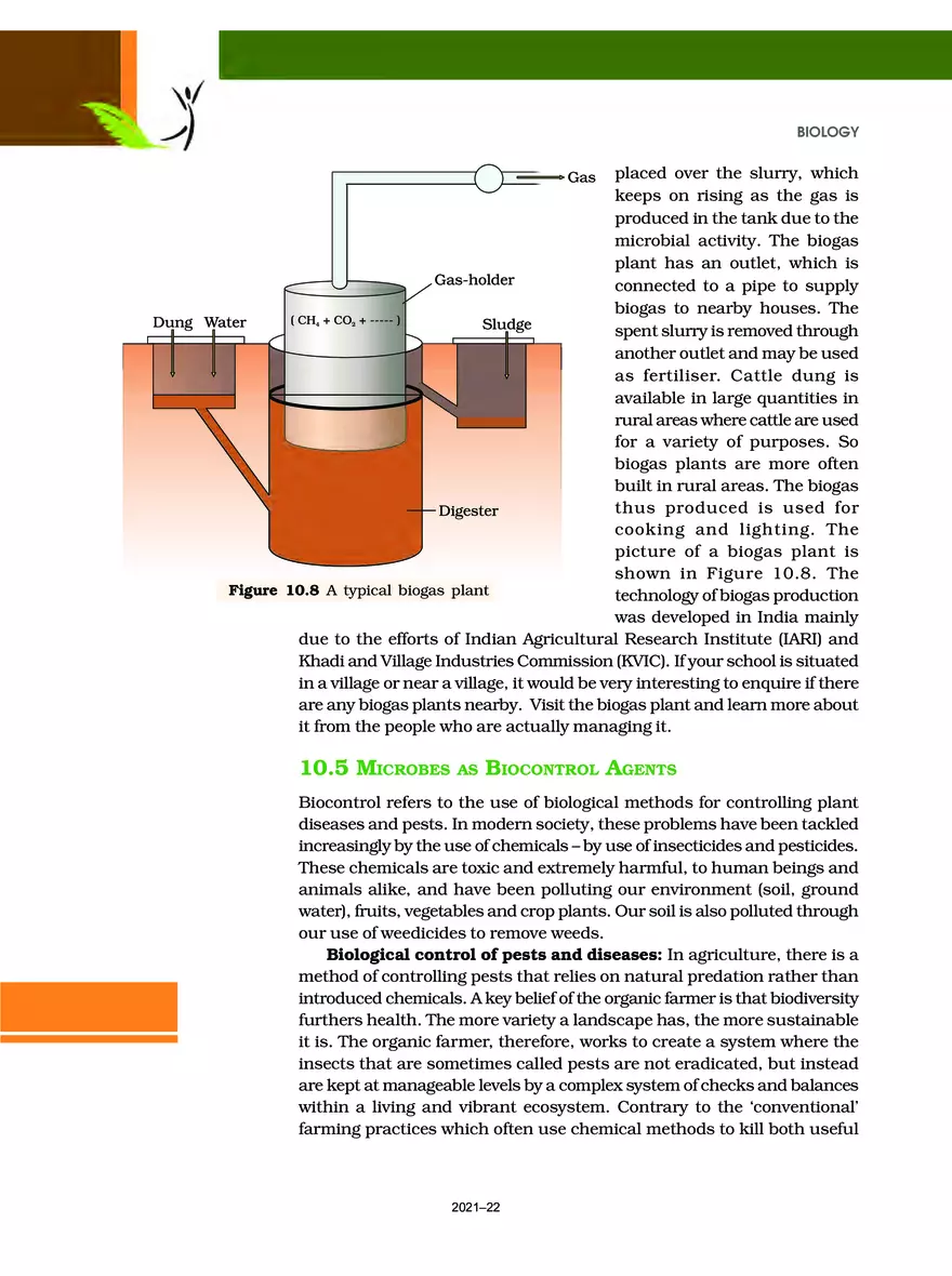 Chapter 10 Microbes in Human Welfare - Page 10