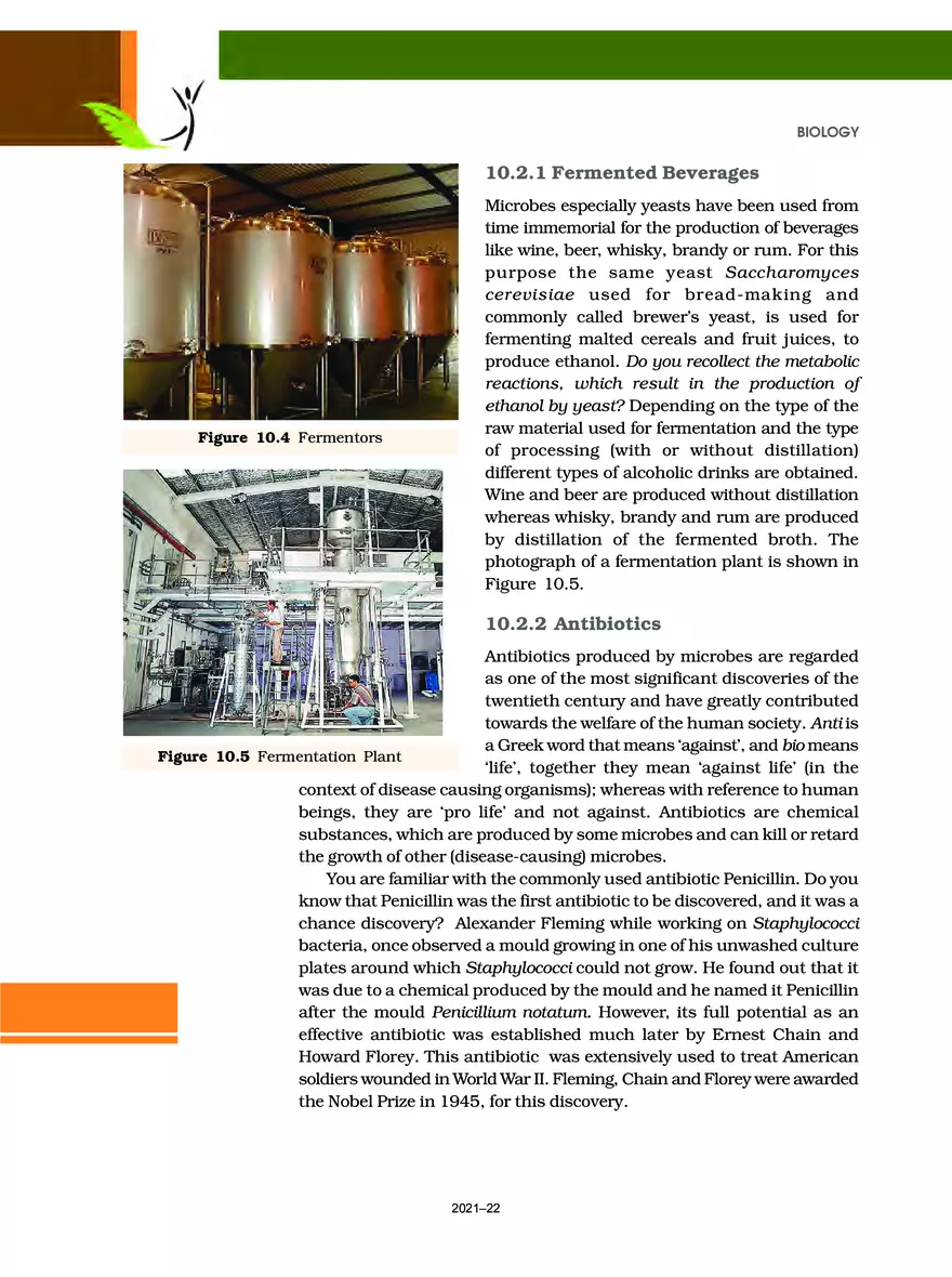 Chapter 10 Microbes in Human Welfare - Page 6
