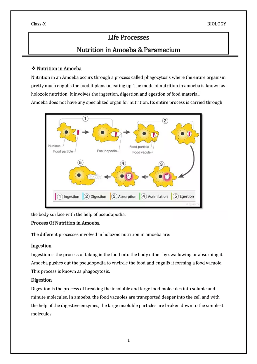 Nutrition in Amoeba & Paramecium - Page 1