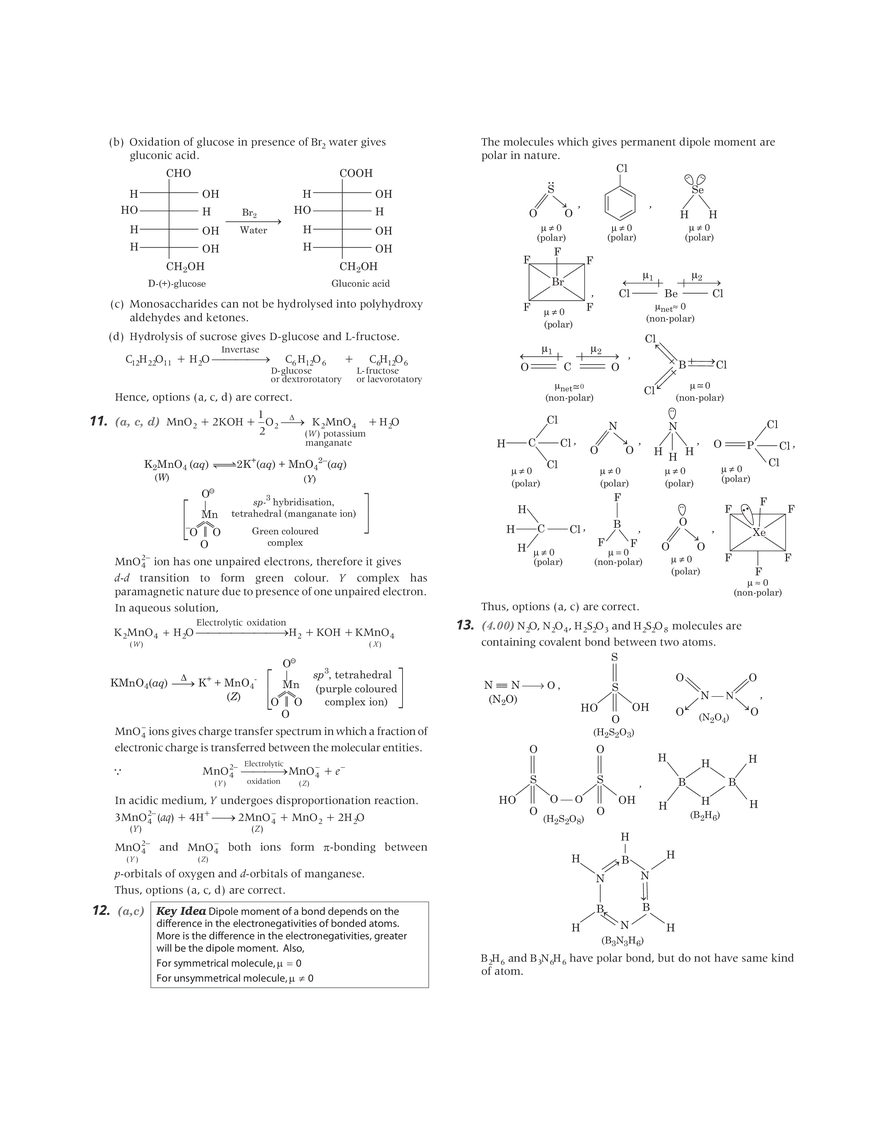 Solved Paper 2019 - Page 13