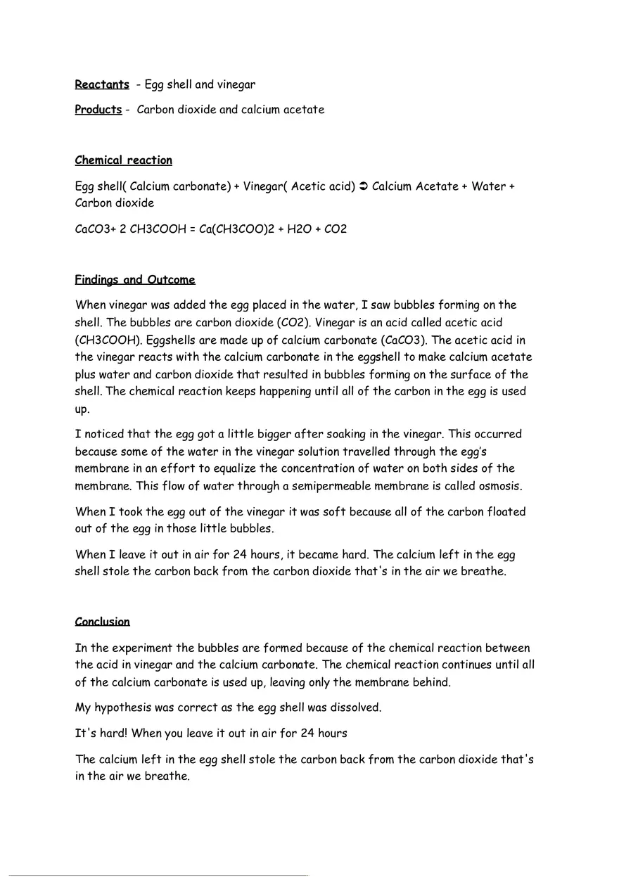 Egg in Vinegar Experiment - Page 2