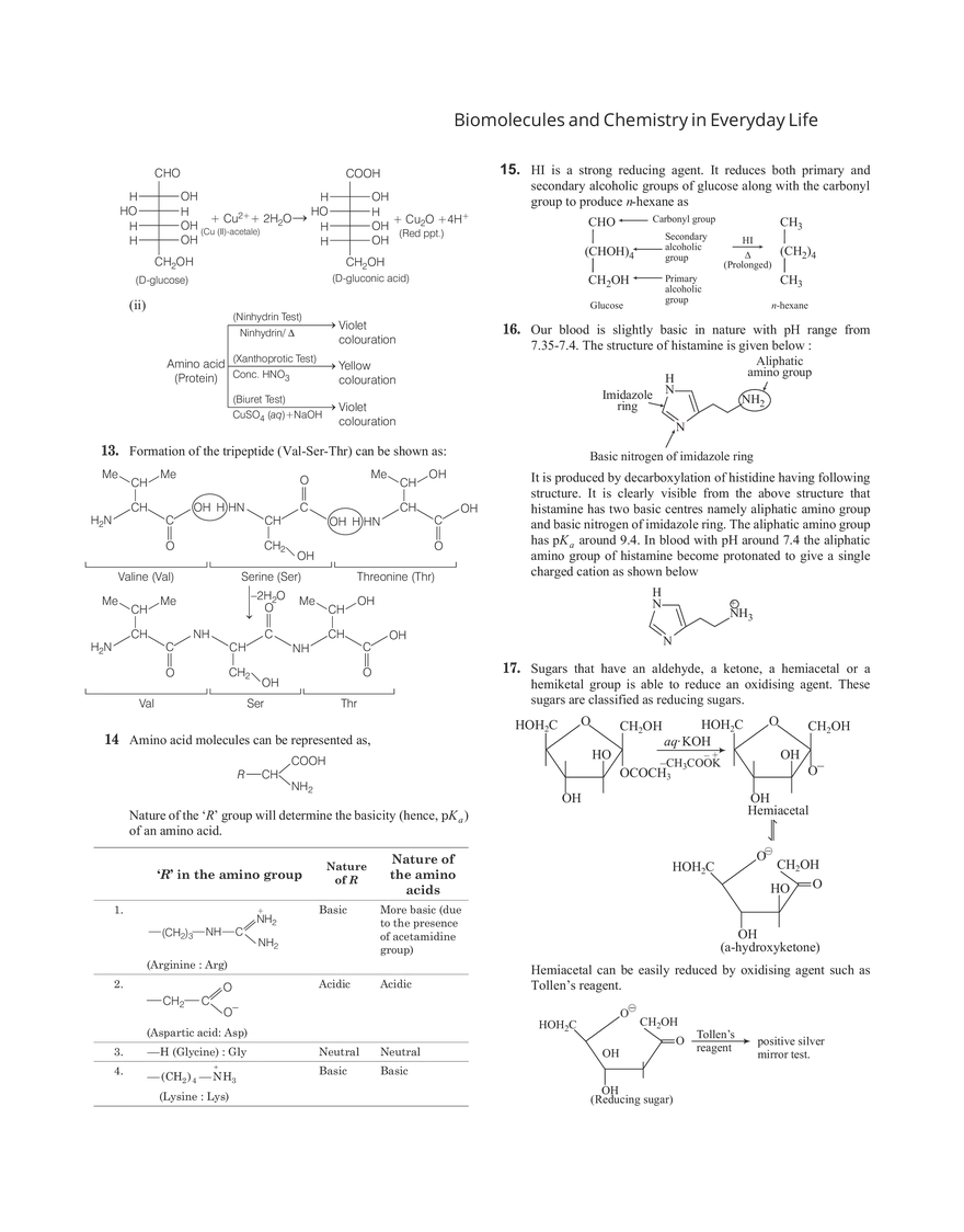 32 Biomolecules and Chemistry in Everyday Life - Page 15