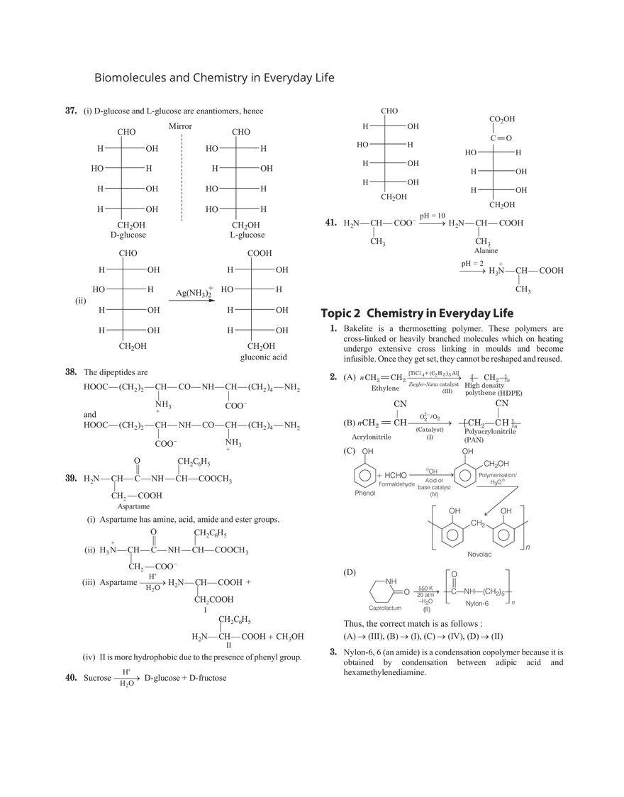 32 Biomolecules and Chemistry in Everyday Life - Page 4