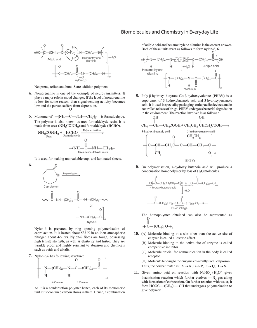 32 Biomolecules and Chemistry in Everyday Life - Page 5