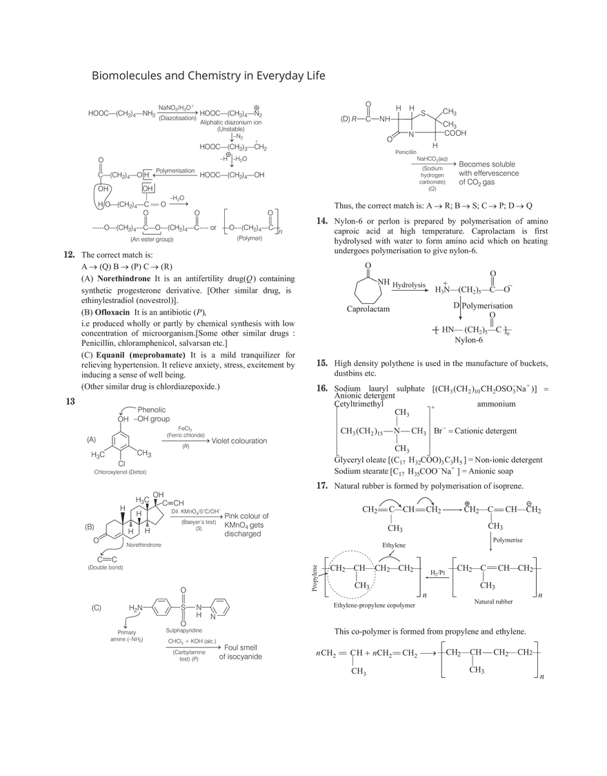 32 Biomolecules and Chemistry in Everyday Life - Page 6