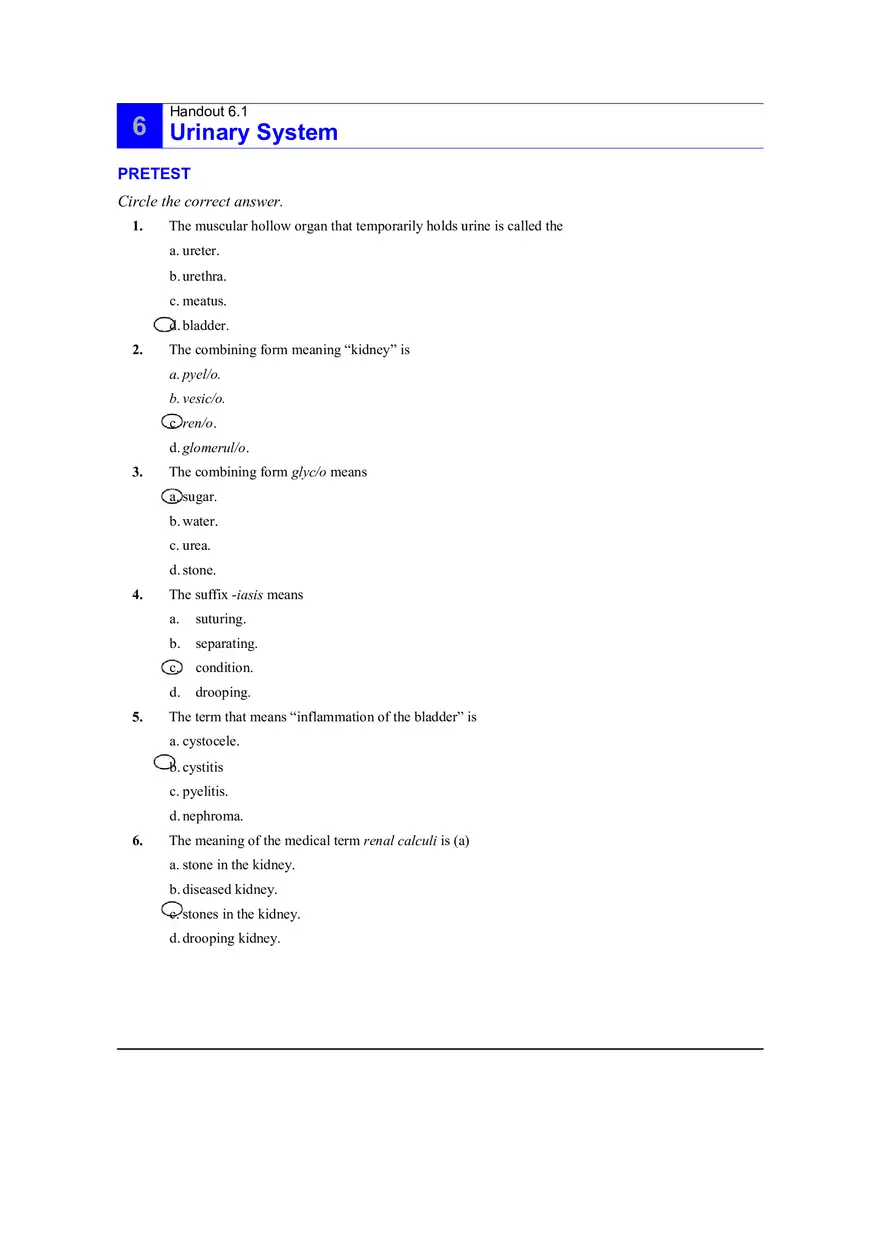 6.1 Urinary System Answers - Page 1