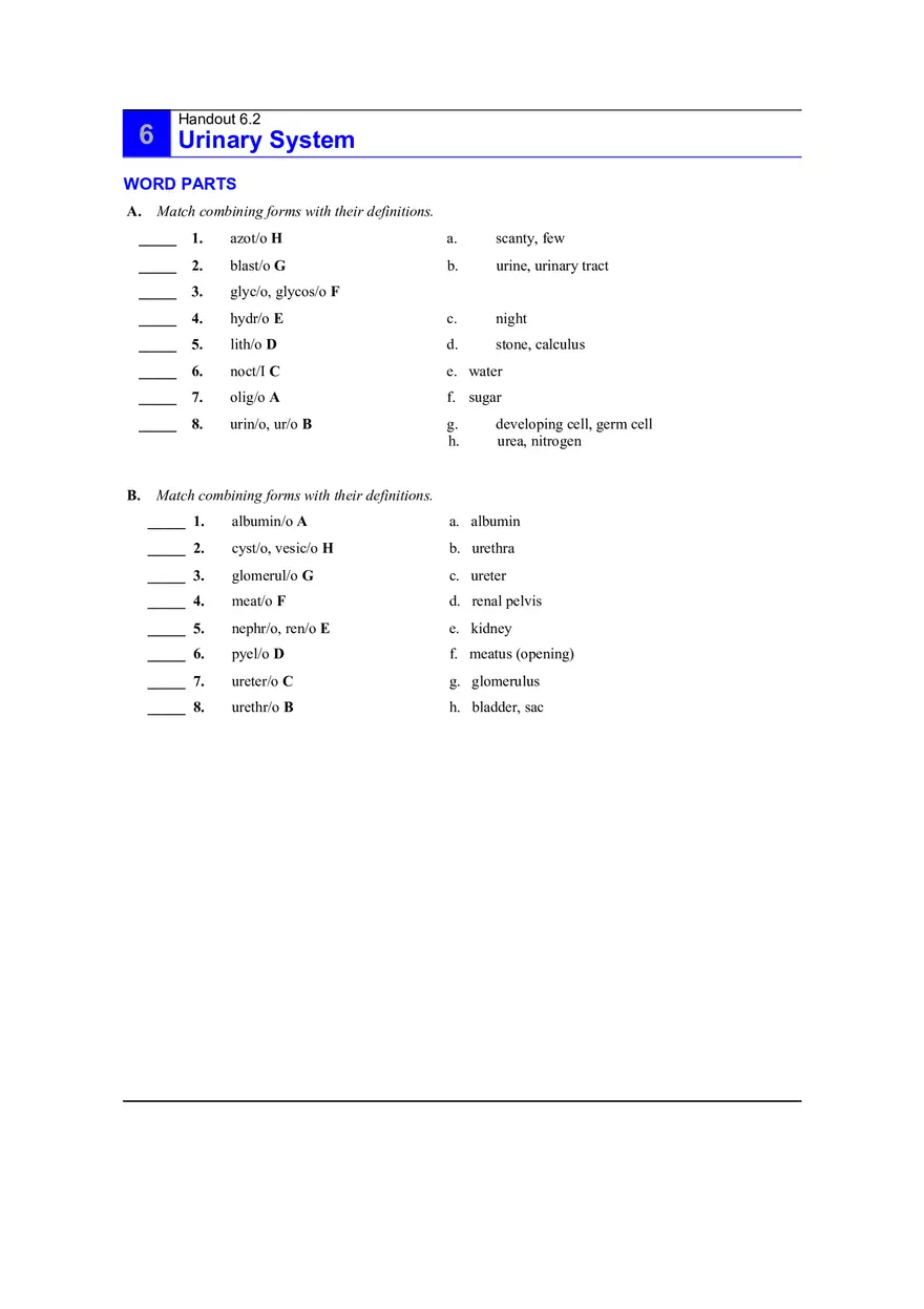 6.2 Urinary System Answers - Page 1