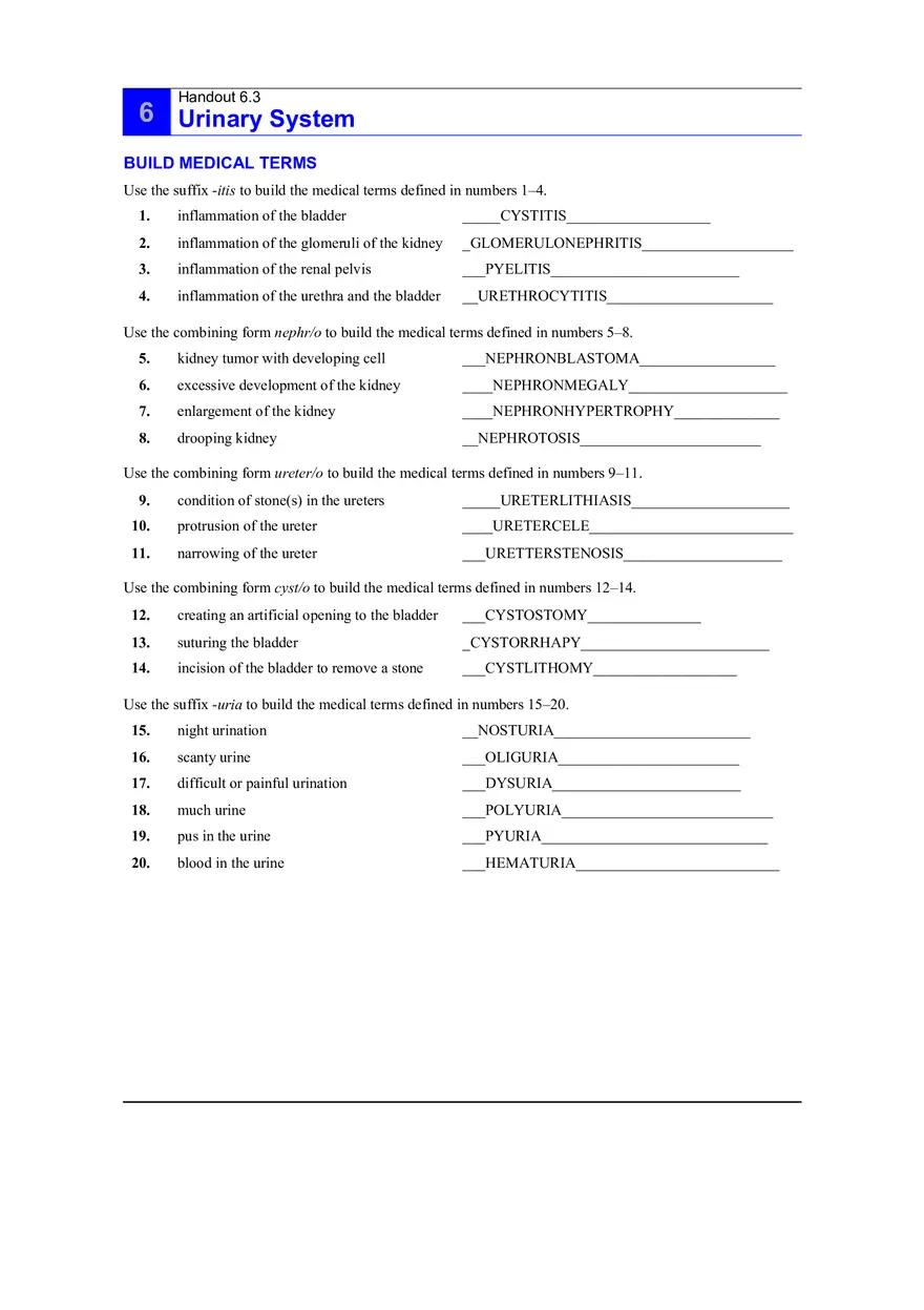 6.3 Urinary System Answers - Page 1